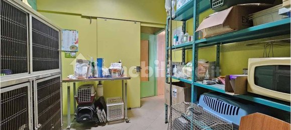 5 rooms Commercial property in Turin, Italy No. 110163 20