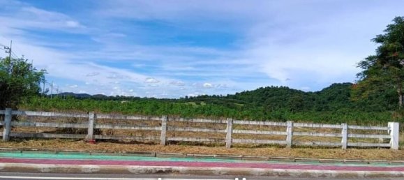 41556m² Commercial property in Sattahip, Thailand No. 15659 4