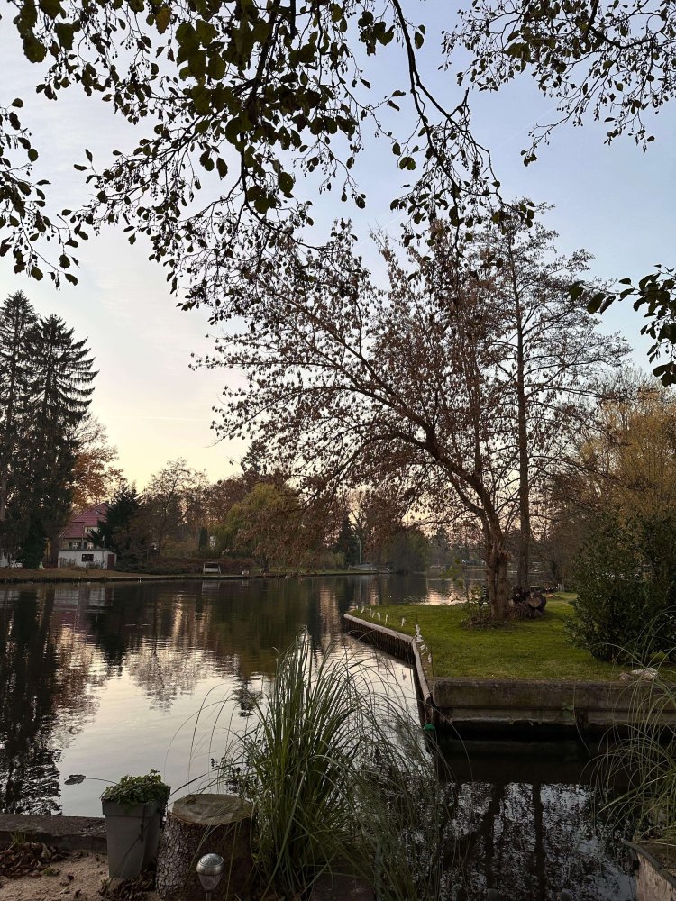  قطعة أرض في Rahnsdorf, Germany رقم 244498