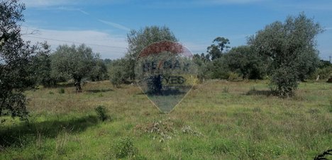 3164m² Land in Vacarica, Portugal No. 70458