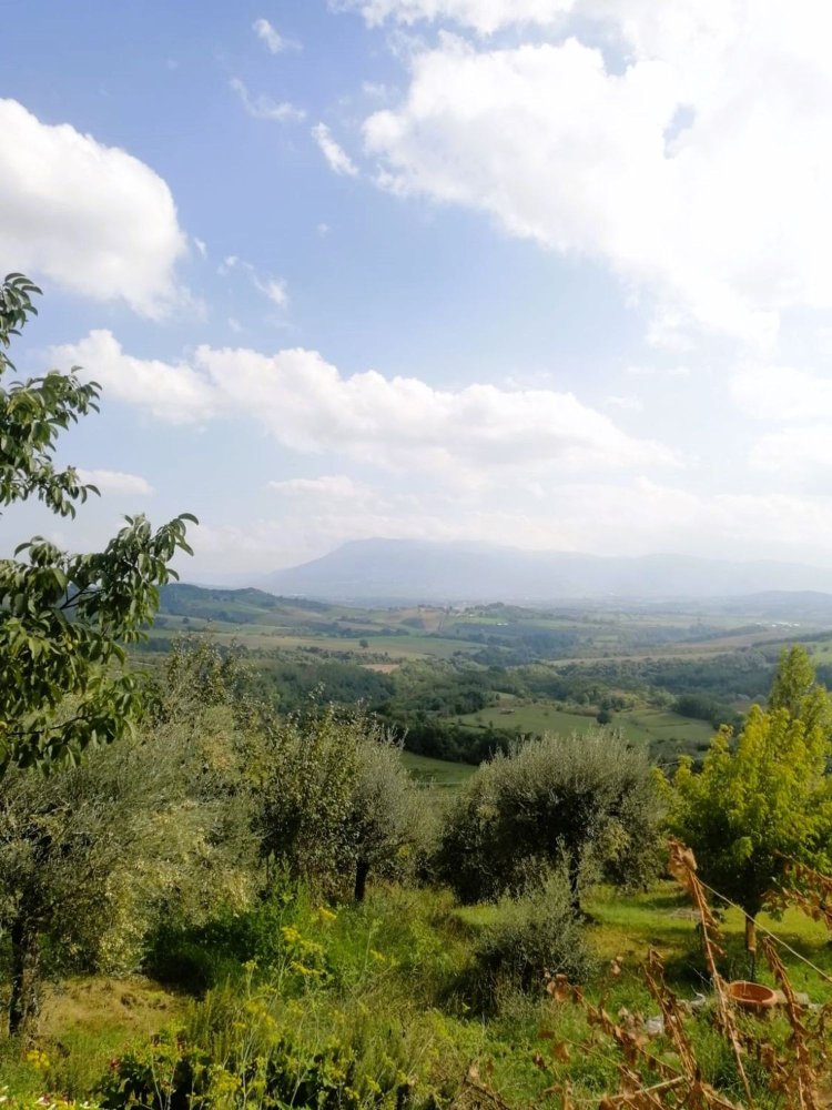 5-Zimmer Haus in Paliano, Italy, Nr. 198126