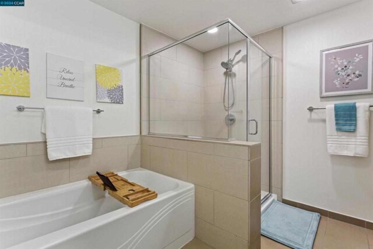 Studio in Walnut Creek, USA, Nr. 395695