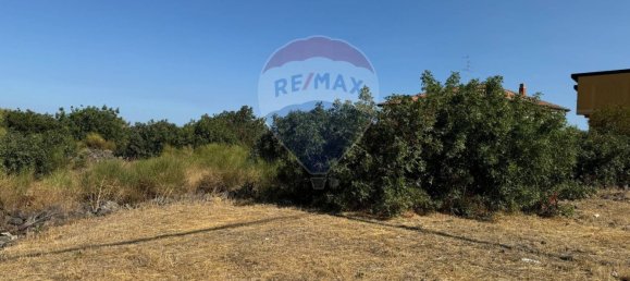 2160m² Land in Mascalucia, Italy No. 77230 3