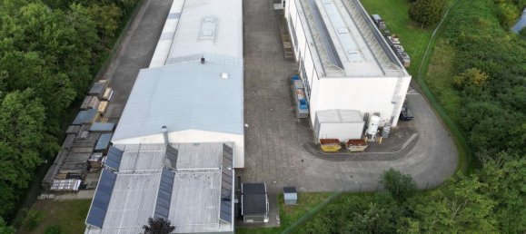 Gewerbliche Immobilie in Börde, Germany 2827m², Nr. 366980 9