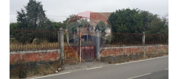 3 chambres Maison à Febres, Portugal No. 33933 13