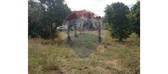 3 chambres Maison à Febres, Portugal No. 33933 8