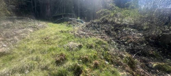 Grundstück in Rohrberg, Austria, Nr. 162486 2