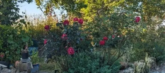 3 Schlafzimmer Haus in Locarn, France, Nr. 319172 14