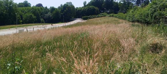 Земельный участок в Гайдорф, Австрия № 5302 4