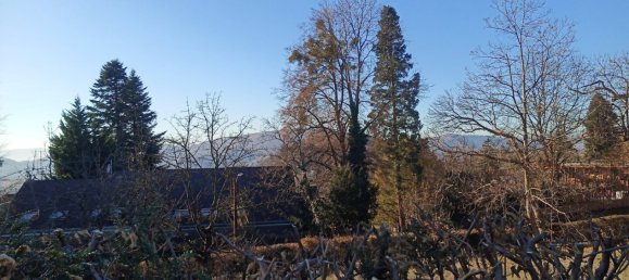 Земельный участок в Гайдорф, Австрия № 5302 5