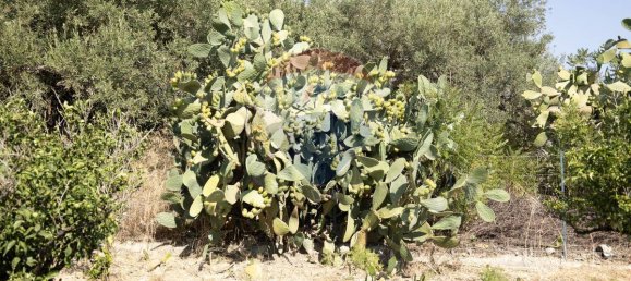 2 chambres Villa à Casteldaccia, Italy No. 320337 37