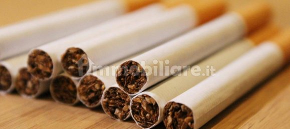 Gewerbliche Immobilie in Empoli, Italy 17m², Nr. 326292 6