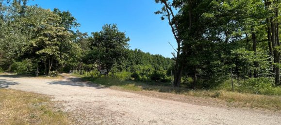 596m² Land in Wittenberg, Germany No. 152477 8