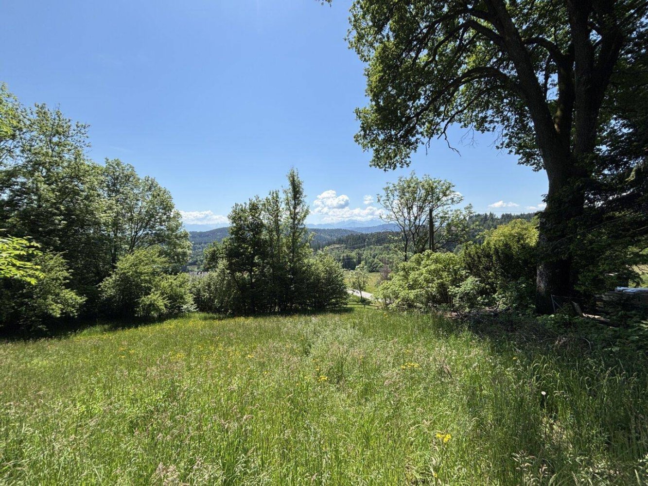  Land in Moosburg, Austria No. 215970