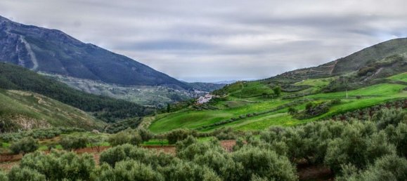 4 bedrooms House in Alcaucin, Spain No. 45133 5