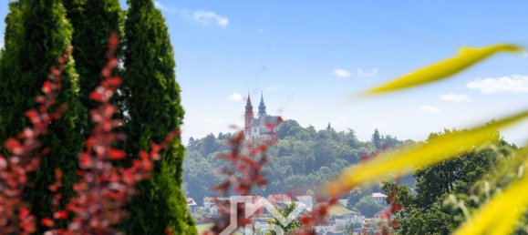 5 rooms Villa in Gramastetten, Austria No. 222618 12