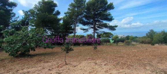 10240m² Land in Erice, Italy No. 167648 8