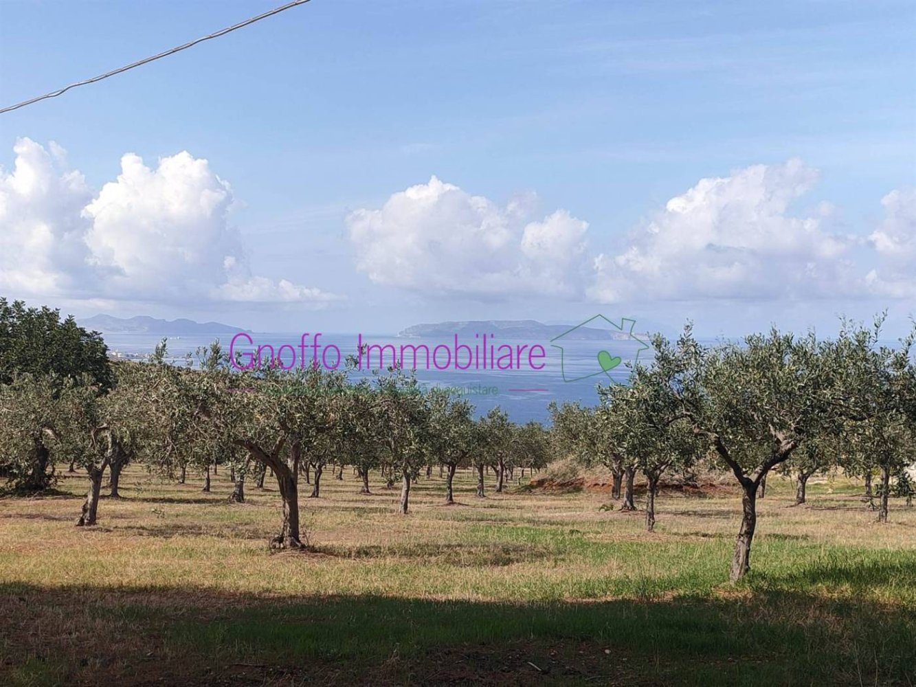 10240m² Land in Erice, Italy No. 167648