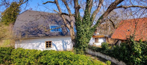 7-Zimmer Haus in Göpfritz an der Wild, Austria, Nr. 131190 43