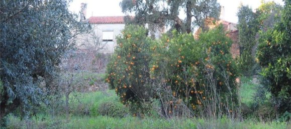 Casa T3 em Castelo Branco, Portugal N.º 180817 19