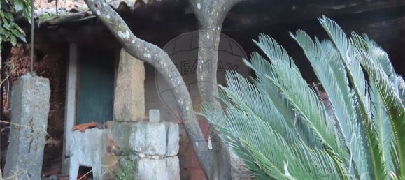 Casa T3 em Castelo Branco, Portugal N.º 180817 10