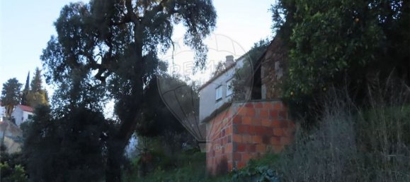 Casa T3 em Castelo Branco, Portugal N.º 180817 16