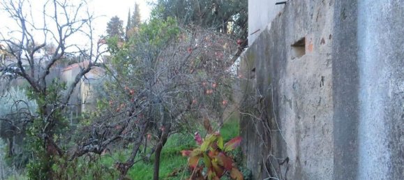 Casa T3 em Castelo Branco, Portugal N.º 180817 11