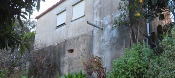 Casa T3 em Castelo Branco, Portugal N.º 180817 12