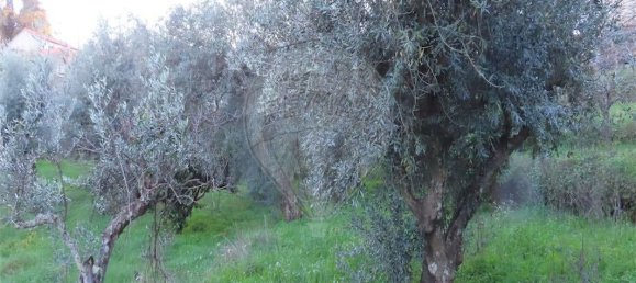 Casa T3 em Castelo Branco, Portugal N.º 180817 20