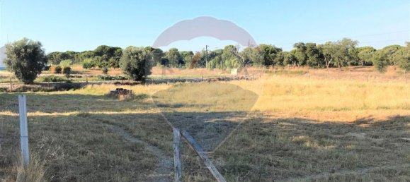 Terreno em Coruche, Portugal 6202 m² N.º 90147 5