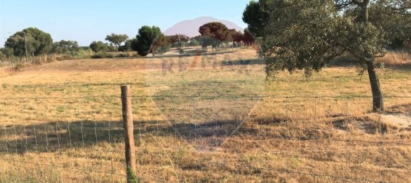 Terreno em Coruche, Portugal 6202 m² N.º 90147 2