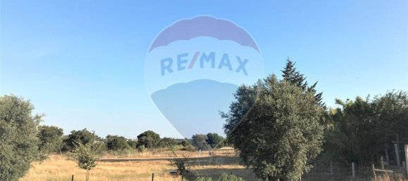 Terreno em Coruche, Portugal 6202 m² N.º 90147 3