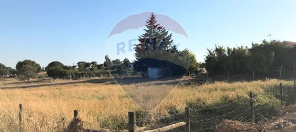 Terreno em Coruche, Portugal 6202 m² N.º 90147 4