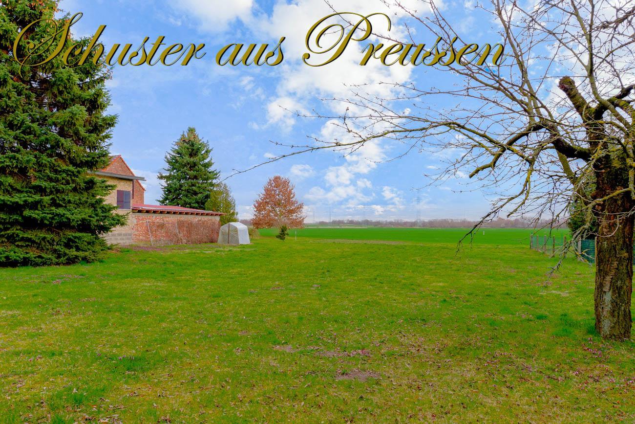  قطعة أرض في Barnim, Germany رقم 79670