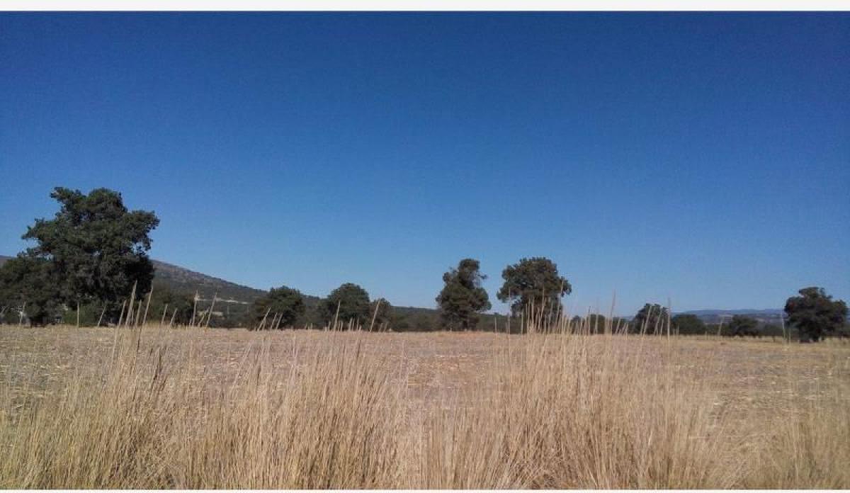 Grundstück in Texcoco de Mora, Mexico, Nr. 206945