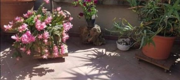 6غرفة منزل في Pistoia, Italy رقم 234155 16