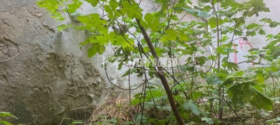 5 chambres Duplex à Cattolica, Italy No. 347259 9