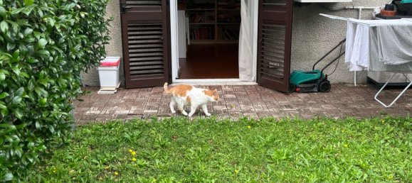 Дом с 4 спальнями в Чернуско суль Навильо, Италия № 373164 43