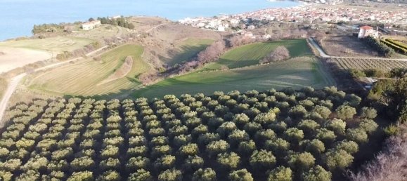 5625 m² terreno en venta en Chalkidiki, Central Macedonia, Macedonia and Thrace, Greece № 94325 3
