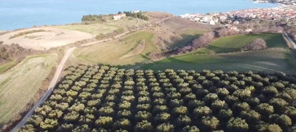 5625 m² terreno en venta en Chalkidiki, Central Macedonia, Macedonia and Thrace, Greece № 94325 2