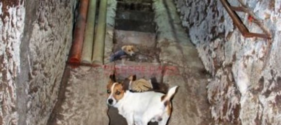 9 rooms House in Orvieto, Italy No. 47356 14