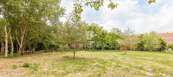 مستودع في Potsdam-Mittelmark, Germany 1456متر مربع رقم 31415 19