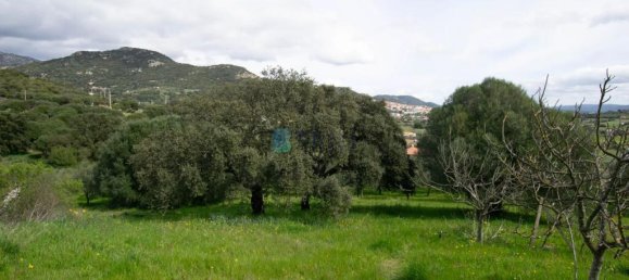 2 bedrooms Villa in Berchidda, Italy No. 326994 19