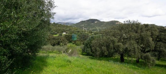 2 bedrooms Villa in Berchidda, Italy No. 326994 20