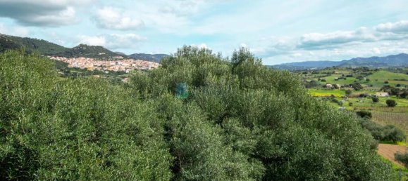 2 bedrooms Villa in Berchidda, Italy No. 326994 4