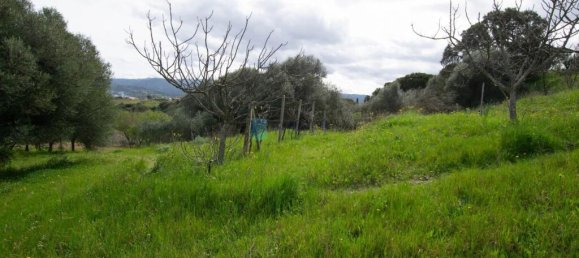 2 bedrooms Villa in Berchidda, Italy No. 326994 22