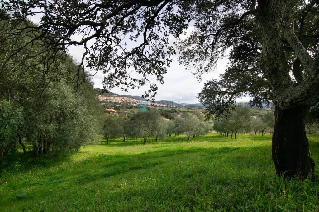 2 غرف نوم فيلا في Berchidda, Italy رقم 326994