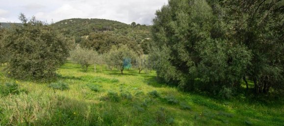 2 bedrooms Villa in Berchidda, Italy No. 326994 25