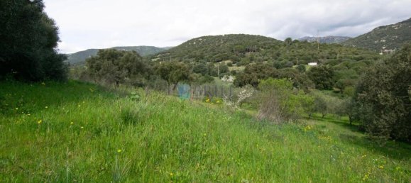 2 bedrooms Villa in Berchidda, Italy No. 326994 21