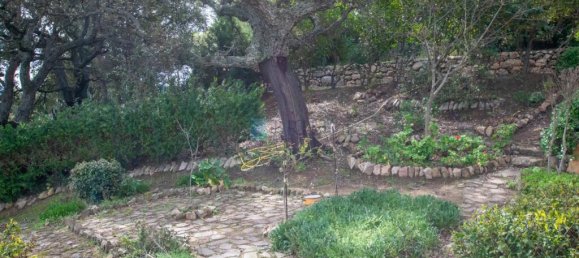 2 bedrooms Villa in Berchidda, Italy No. 326994 6